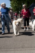 2018 Pyr Walk6