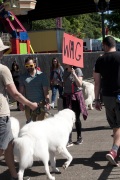 2018 Pyr Walk7