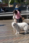 2018 Pyr Walk9