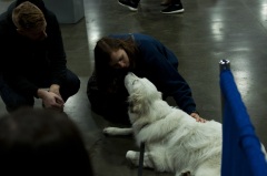 2018 Rose City Classic Meet the Breed11