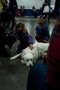 2018 Rose City Classic Meet the Breed13