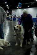 2018 Rose City Classic Meet the Breed23