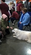 WP_20180121_13_15_32_Pro