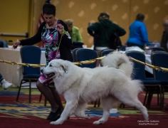 31890772_10216651173697842_8632469164960776192_o