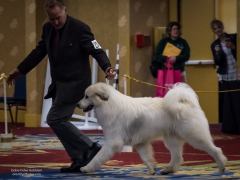 31913604_10216651296500912_3693154696073052160_o