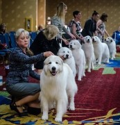 FB_20180506_06_22_50_Saved_Picture