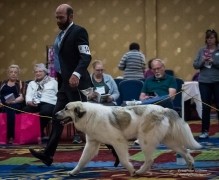 FB_20180506_06_24_17_Saved_Picture