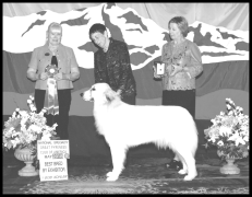 Picture2