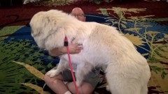 WP_20180505_11_08_38_Pro