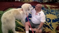 WP_20180505_11_08_57_Pro