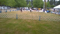 WP_20180622_11_35_42_Pro