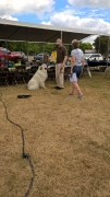 WP_20180622_14_33_23_Pro