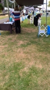 WP_20180623_11_20_14_Rich