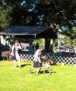 WP_20180624_08_11_03_Pro