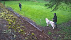 WP_20180414_11_41_32_Pro