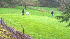 WP_20180414_11_43_33_Pro