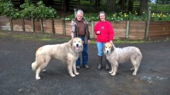 WP_20180414_13_56_23_Pro