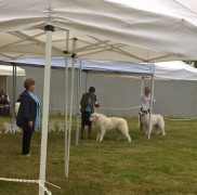 WP_20180518_09_03_15_Pro