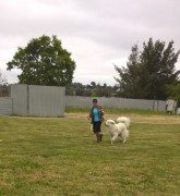 WP_20180518_09_05_22_Pro