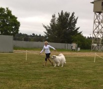 WP_20180518_09_07_21_Pro