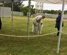 WP_20180518_09_30_37_Pro