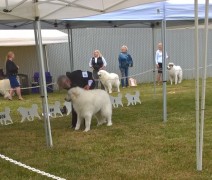 WP_20180518_09_40_50_Pro