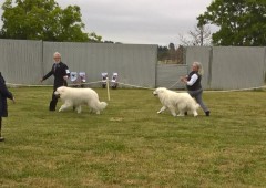 WP_20180518_09_44_08_Pro