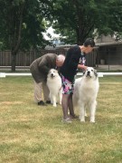 IMG_9191