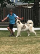 IMG_9221