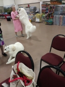 20190417_091839