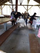 20190309_130254