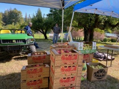 65481326324__DA75288A-C9C1-4A76-9C81-846EC7A636BD