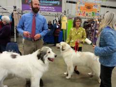 11002414_10203644914310952_1096514880_o (1).jpg