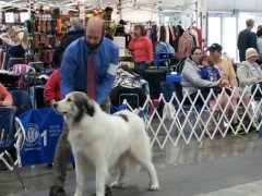 Andrew and Tristin.jpg