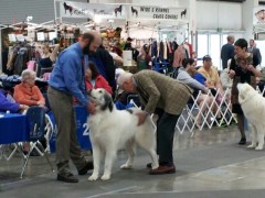 Andrew and judge and Tristin.jpg