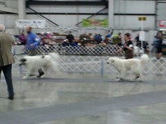 Kathy and Andrew.jpg