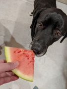 Arlos-brother.Dedra-Davis