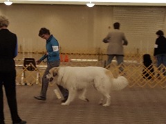 20161119_135156