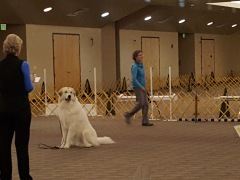 20161119_135451