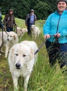 Rescue Pack Walk3