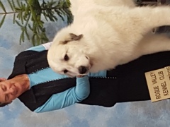 Kathy and Sparkle - Champion