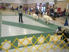 WP_20151112_13_59_34_Pro