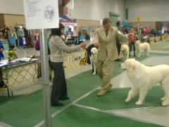 WP_20151112_14_04_40_Pro