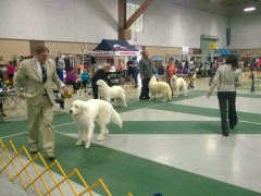 WP_20151112_14_04_55_Pro