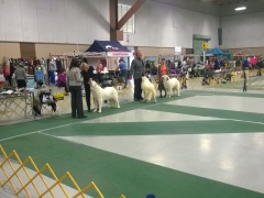 WP_20151112_14_05_01_Pro