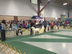 WP_20151112_14_05_28_Pro