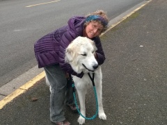 WP_20151112_15_48_03_Pro