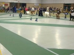 WP_20151112_16_16_30_Pro