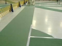 WP_20151112_16_23_32_Pro