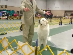 WP_20151112_16_23_57_Pro